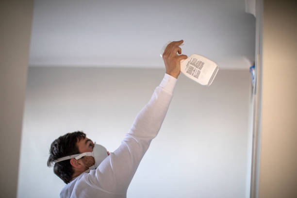 Best Attic Mold Remediation in Des Plaines, IL